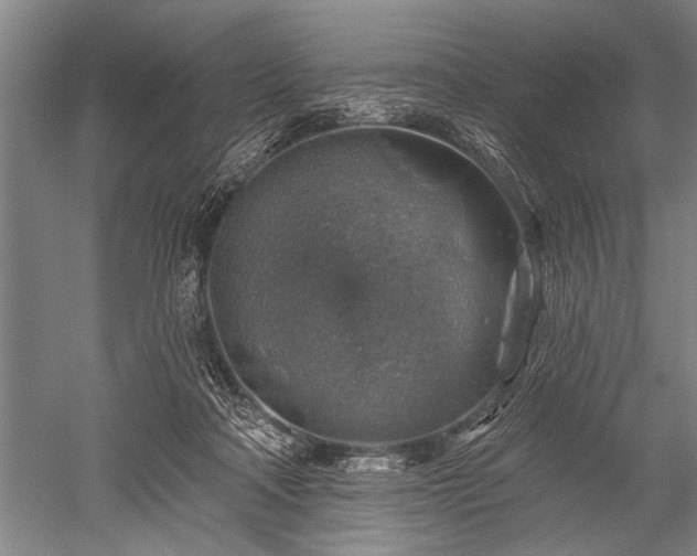 X0000052570314200507081708