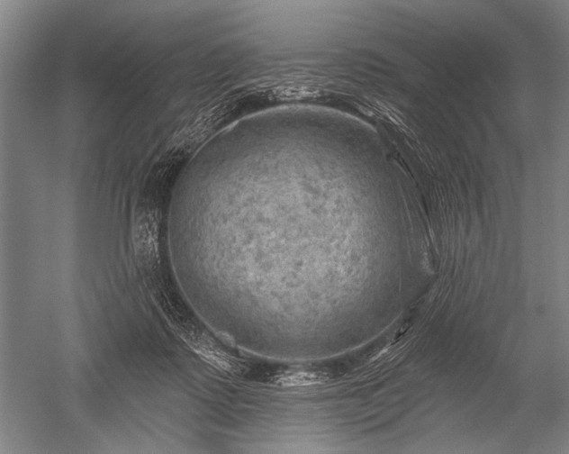 X0000052570315200507081708