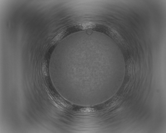 X0000052570316200507081708