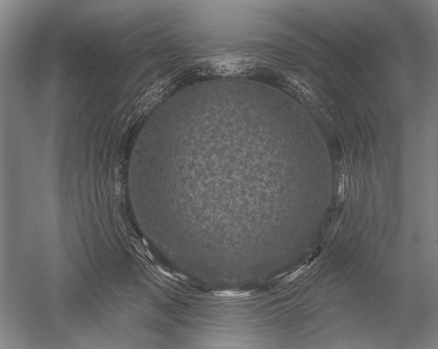 X0000052570317200507081708