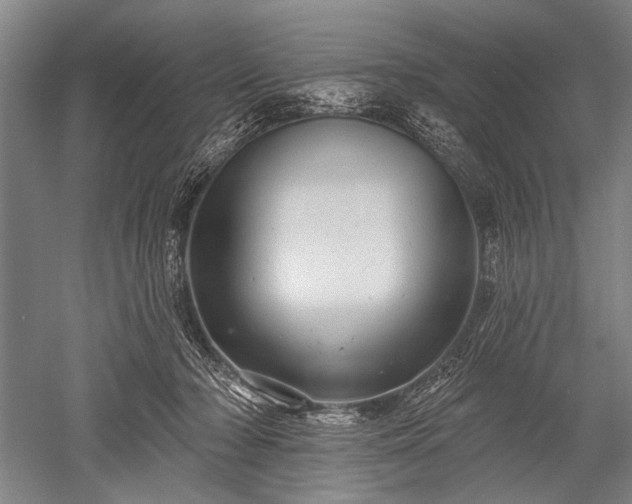 X0000052570318200507081708