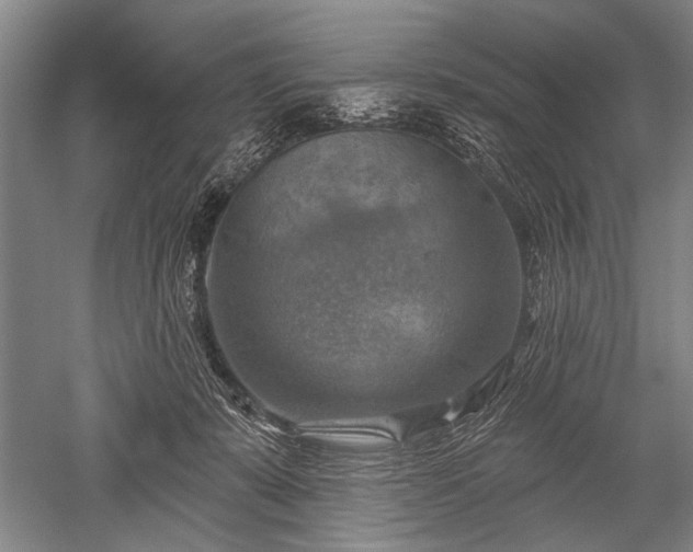 X0000052570319200507081708