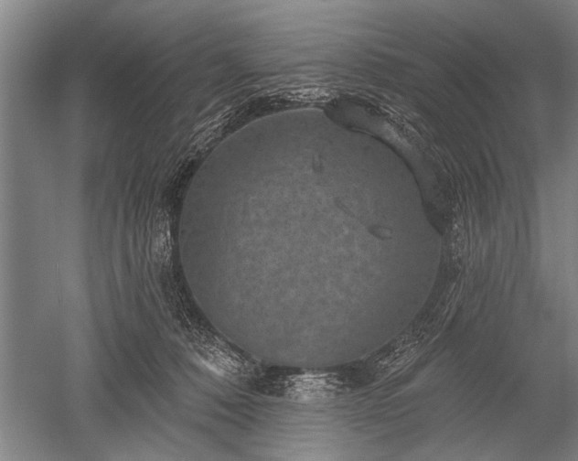 X0000052570320200507081708