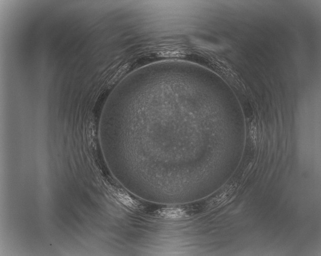 X0000052570322200507081708