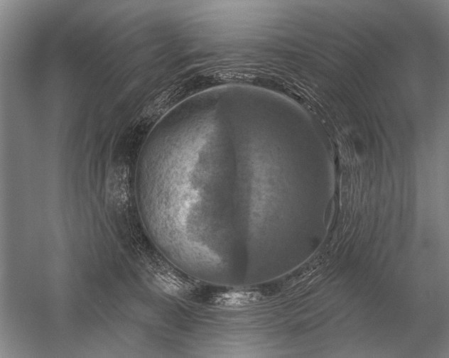 X0000052570323200507081708