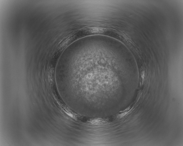 X0000052570325200507081708