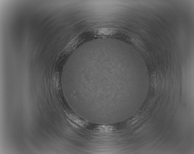 X0000052570328200507081708