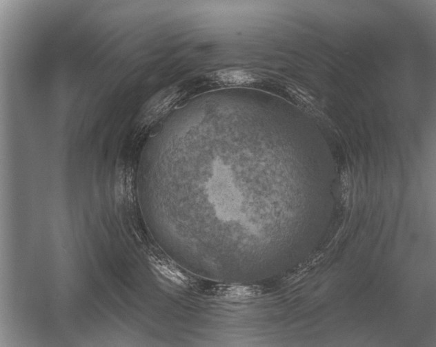 X0000052570330200507081708