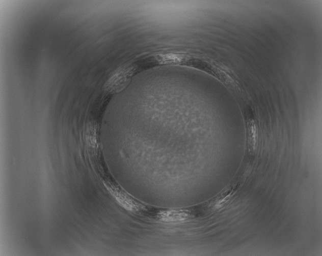 X0000052570331200507081708