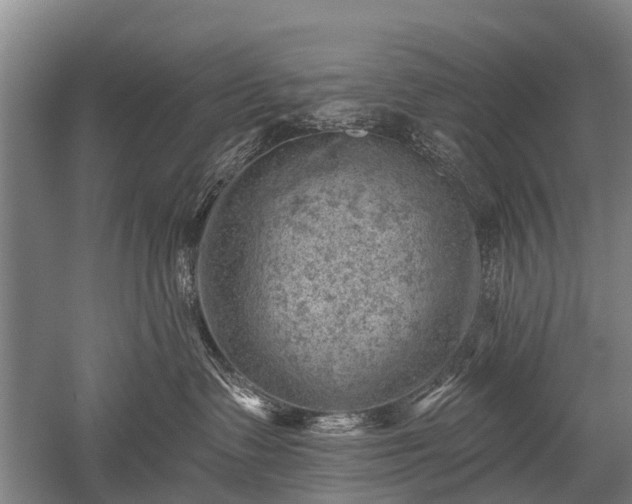 X0000052570335200507081708