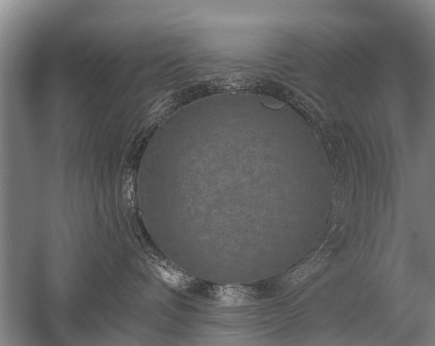 X0000052570336200507081708