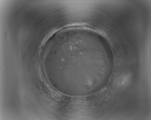 X0000052570337200507081707