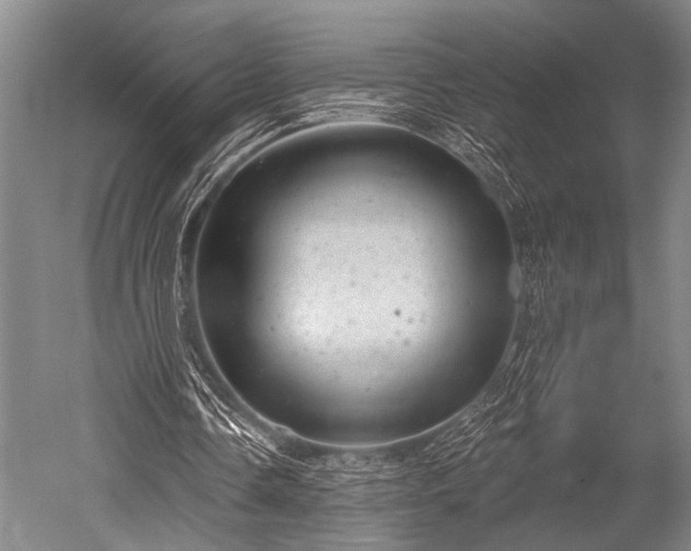 X0000052570338200507081707