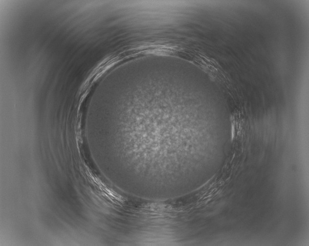 X0000052570339200507081707