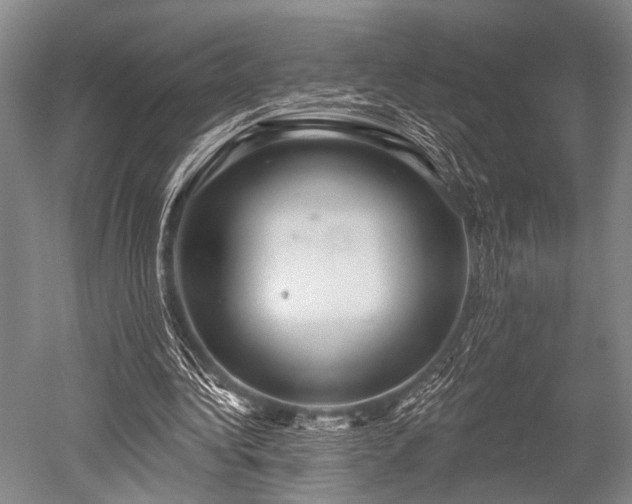 X0000052570340200507081707