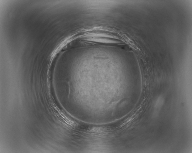 X0000052570341200507081707