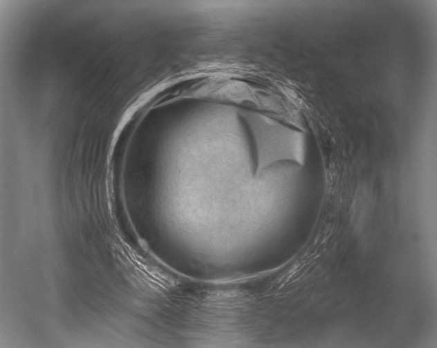 X0000052570342200507081707