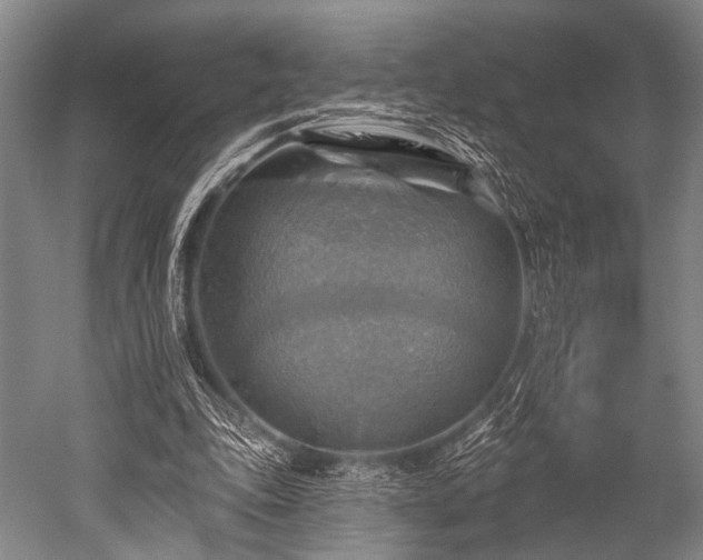 X0000052570343200507081707