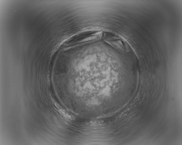 X0000052570345200507081707