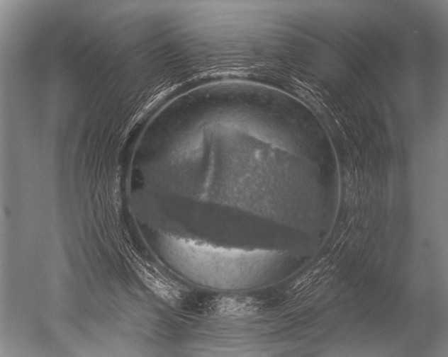 X0000052570346200507081707