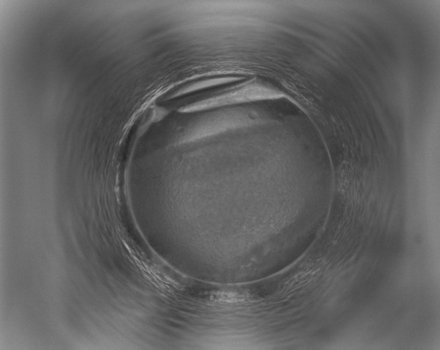 X0000052570347200507081707