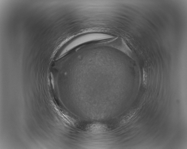 X0000052570348200507081707