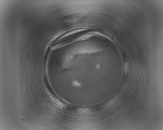 X0000052570349200507081707