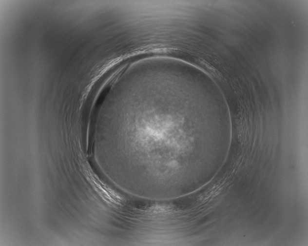 X0000052570350200507081707