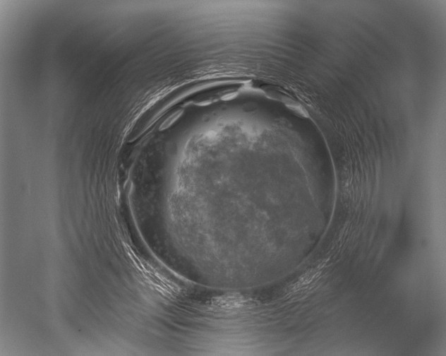 X0000052570351200507081707