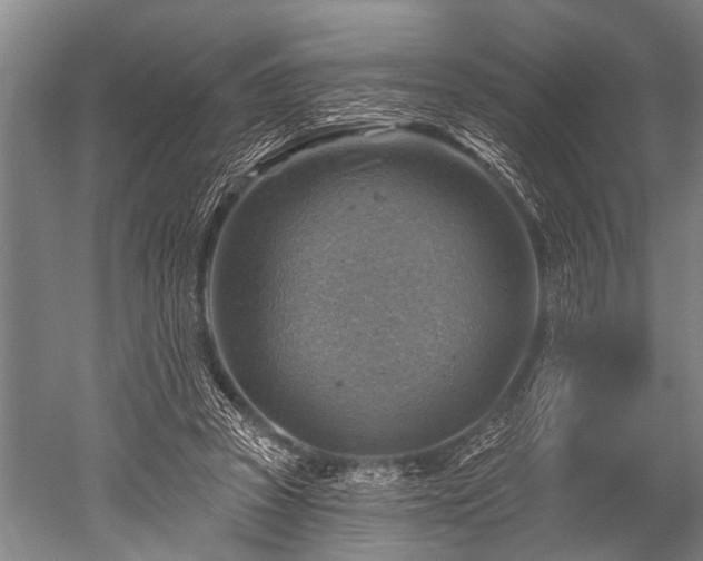 X0000052570353200507081707