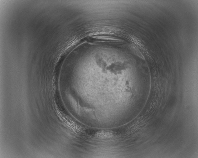 X0000052570354200507081708