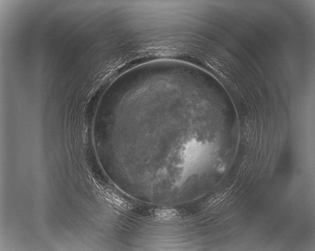 X0000052570355200507081708