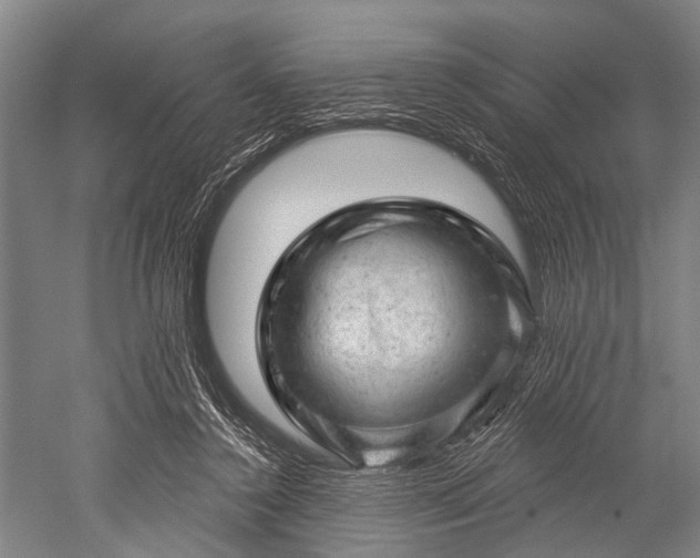 X0000052570356200507081708