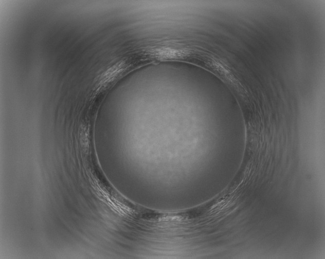 X0000052570357200507081708