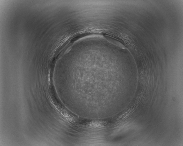 X0000052570358200507081708