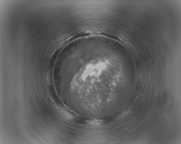 X0000052570359200507081708