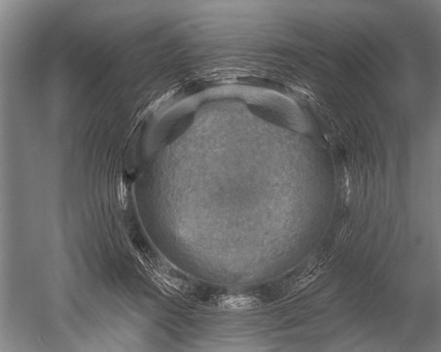 X0000052570360200507081708