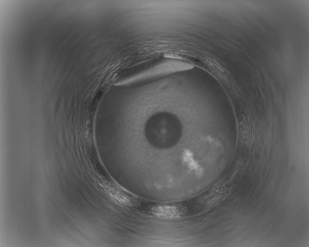 X0000052570361200507081708