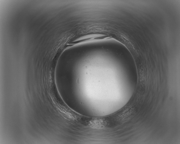 X0000052570362200507081708