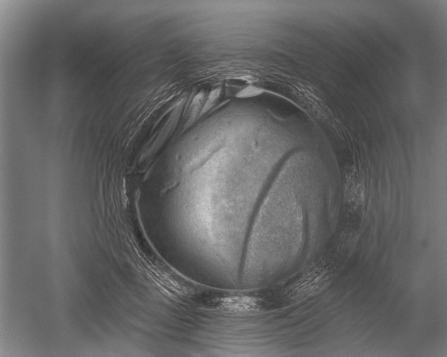 X0000052570363200507081708