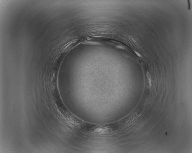 X0000052570364200507081708