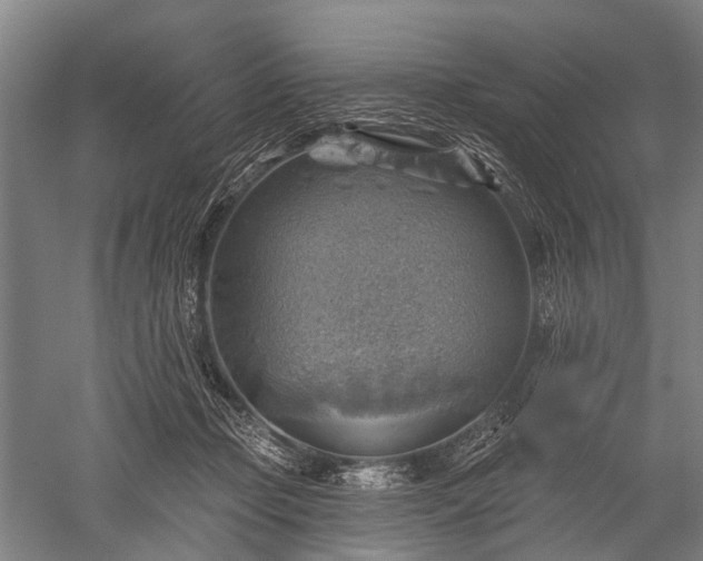 X0000052570365200507081708