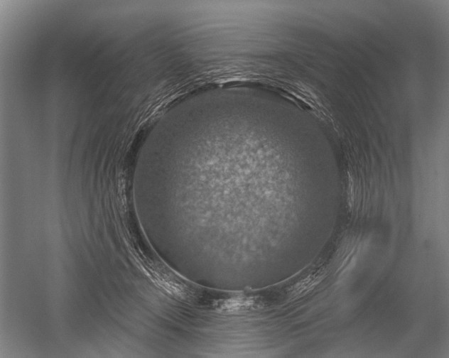 X0000052570366200507081708