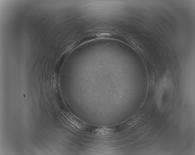 X0000052570367200507081708