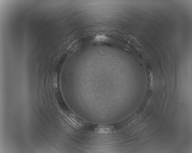 X0000052570368200507081708