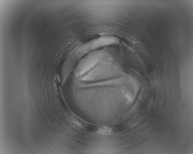 X0000052570369200507081708