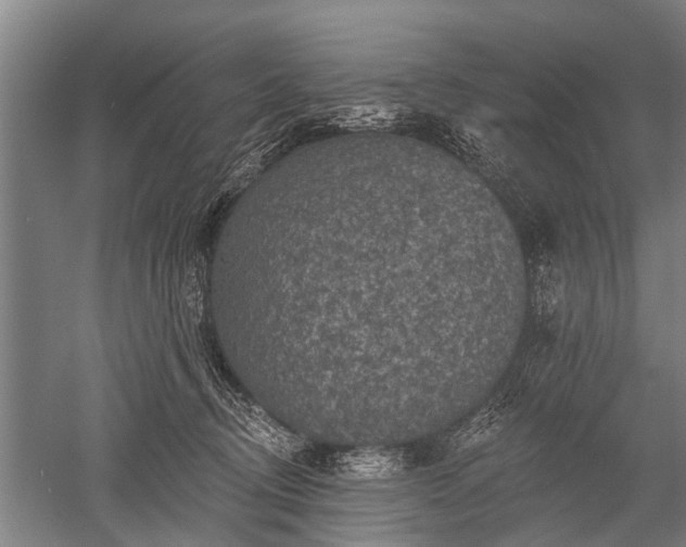 X0000052570370200507081708