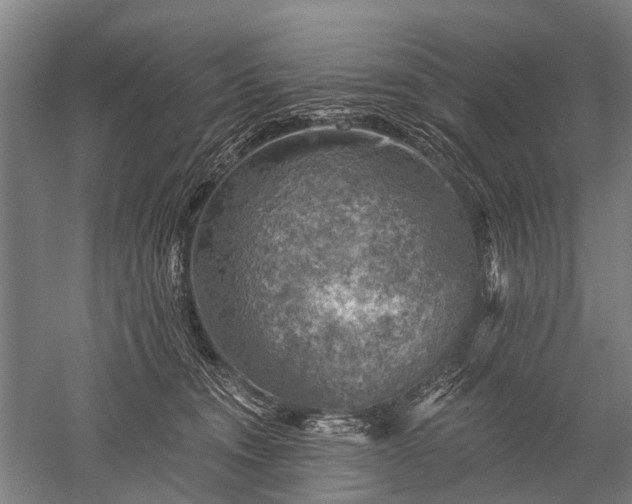 X0000052570372200507081708