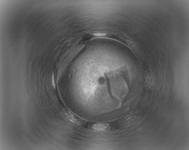 X0000052570373200507081708