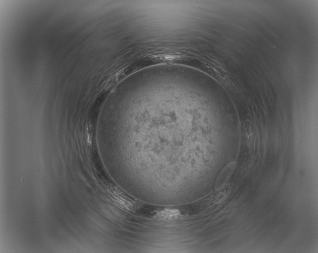 X0000052570374200507081708